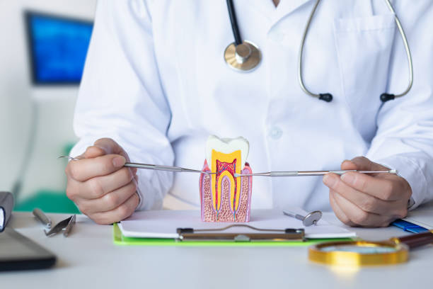 Best Pediatric Emergency Dentist in Washington, DC